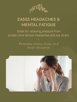 La Belle Head Spa gallery